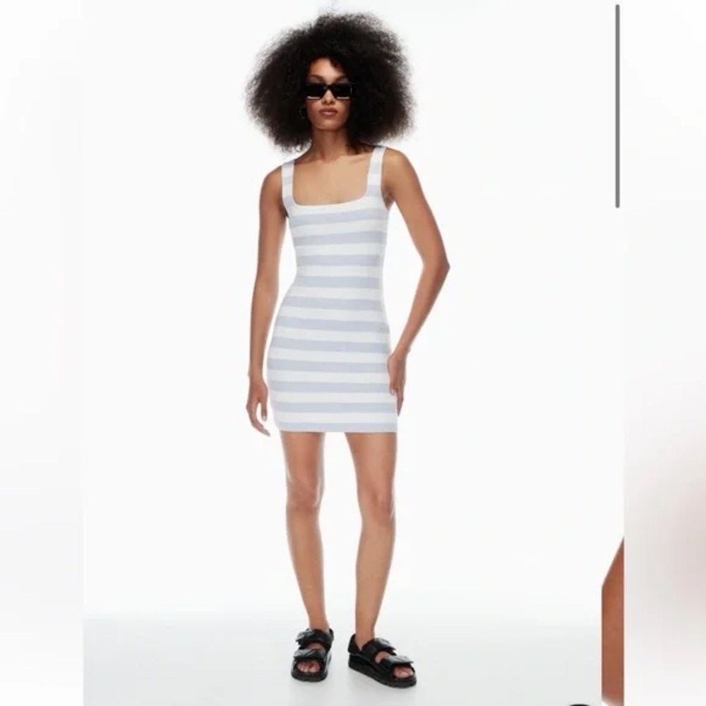 ARITZIA | STRIPED BLUE AND WHITE DRESS